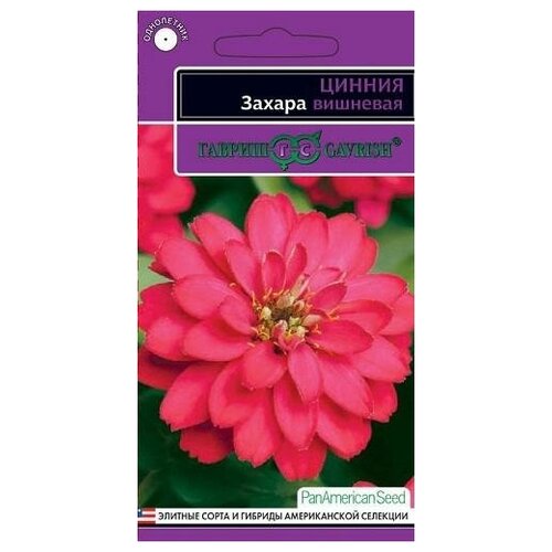 ���� ������. ������ 