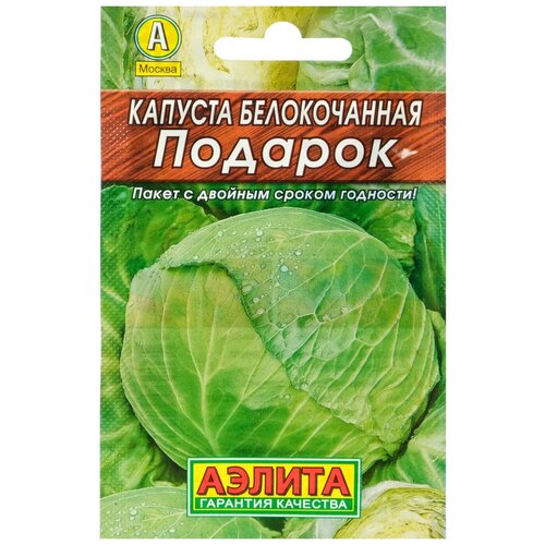 ���� ������ ������� ������������ 