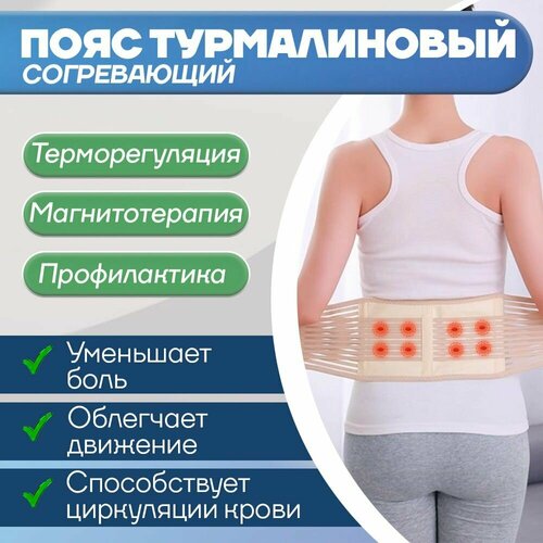 ���� ���� ��� �����, ������������ � ���������, ������������, ��������, ���� �������������� ������ ������