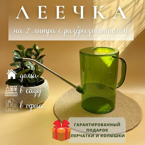 ���� ����� ��� ������ � �������� ������ ������