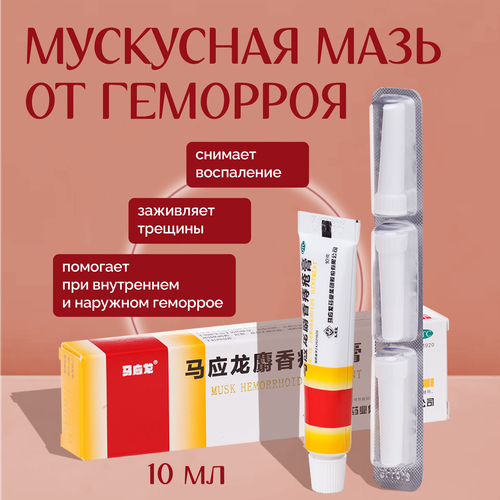 ���� ���� �� �������� / ���� �� �������� / ������ 10 �� ������ ������