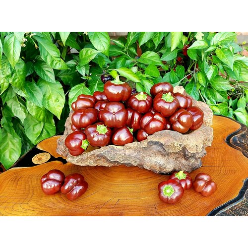 ���� ������ ����� ������� ��������� ���������� ����������� (Mini Bell Chocolate) / Seeds And Goods / � �������� zip-lock ��� ���������� 15 ����� ������ ������