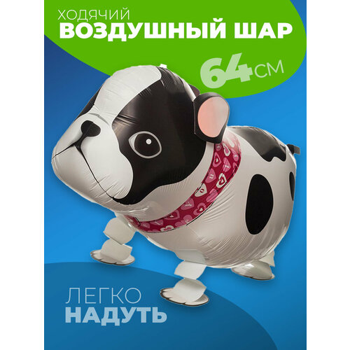 ���� �������������� ������� ��� ������ ������ ������