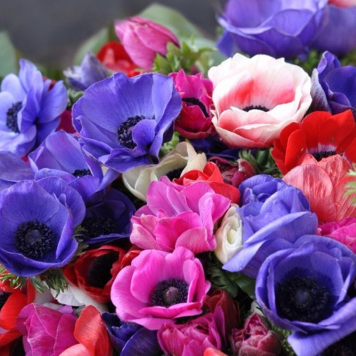 ���� ��������� ( ������� ) �� ���� ���� 10 �� ������ ������