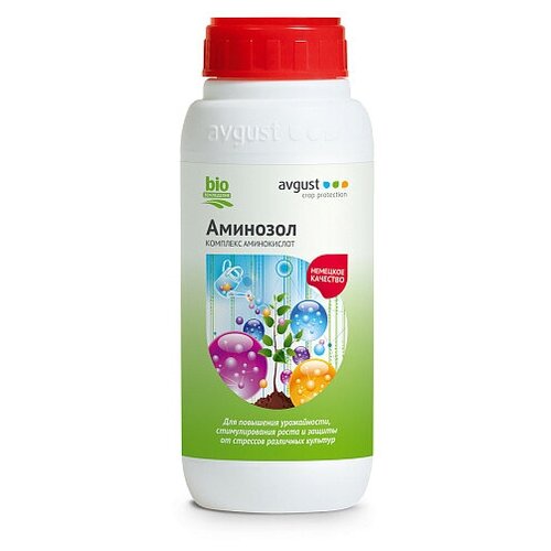 ���� ��������� avgust ��������, 0.5 �, 600 �, 1 ��. ������ ������