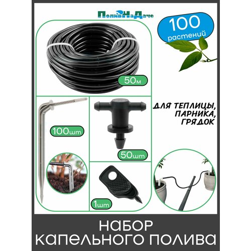 ���� ����� ���������� ������ �� 100 �������� ��� �������, �������, ������ ������ ������
