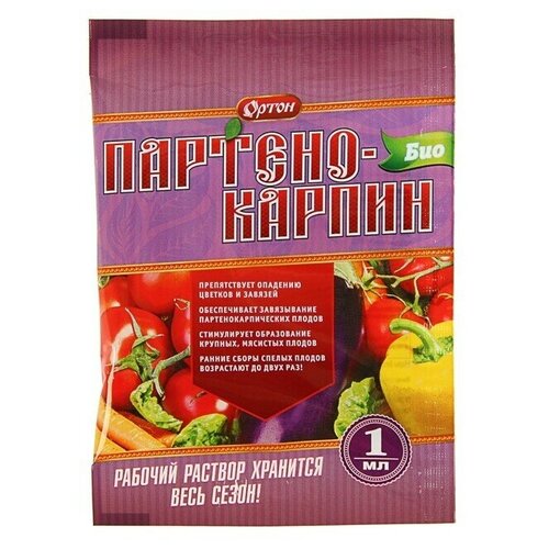 ���� �������� 