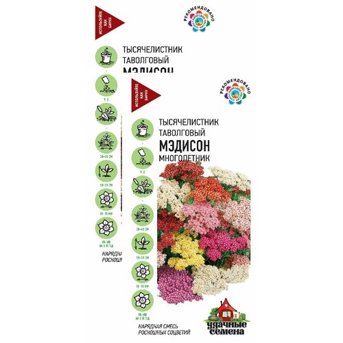 ���� ������������� ������� ����� (0,05 �), 2 ������ ������ ������