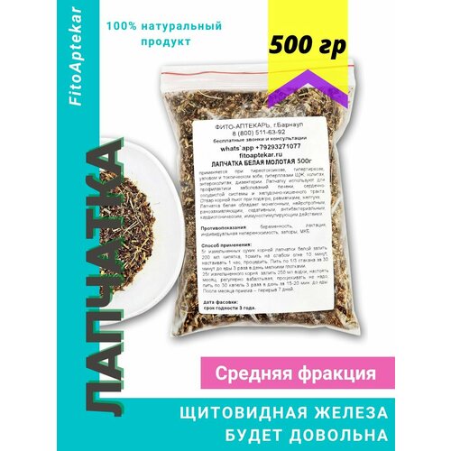 ���� �������� ����� 