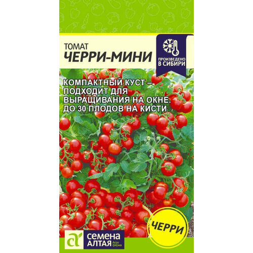 ���� ������ ����� �����-���� 0.1� ��� (������ �����) ������ ������