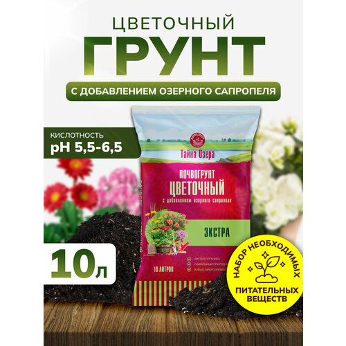 ���� ����� ��� ������ � ���������� 10 �, ����� ��� �������, ����������, InHome Green ������ ������