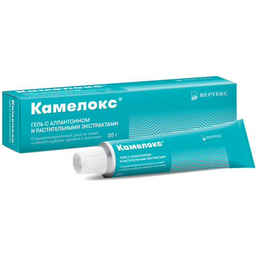 ���� �������� ���� ����, 20 � ������ ������