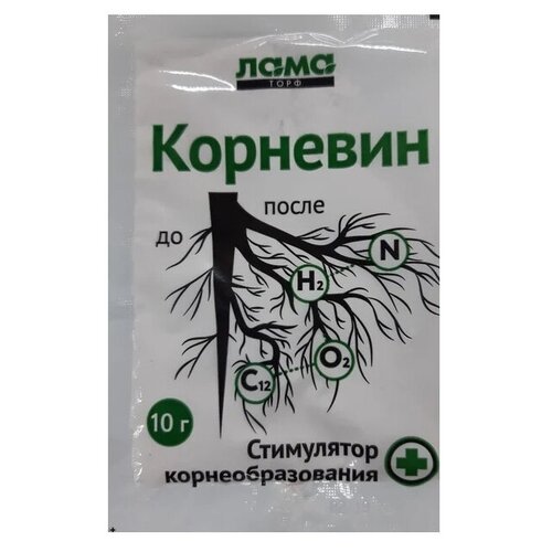 ���� ��������� �������� ��������, 10 �, 1 ��. ������ ������