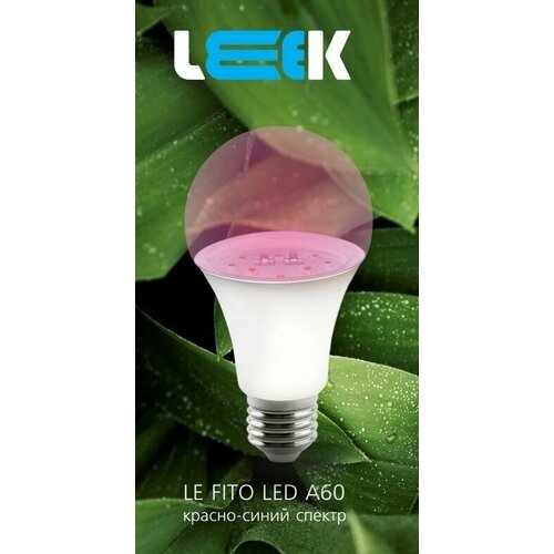    -  LEEK, 60, 27, 9 , 250    -     , -, 