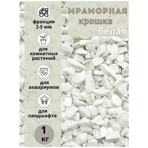 ���� ��������� ������ ����� ������� 2-5�� (1 ��) ����� ����������� ��� ��������� � ������� �������� ������ ������