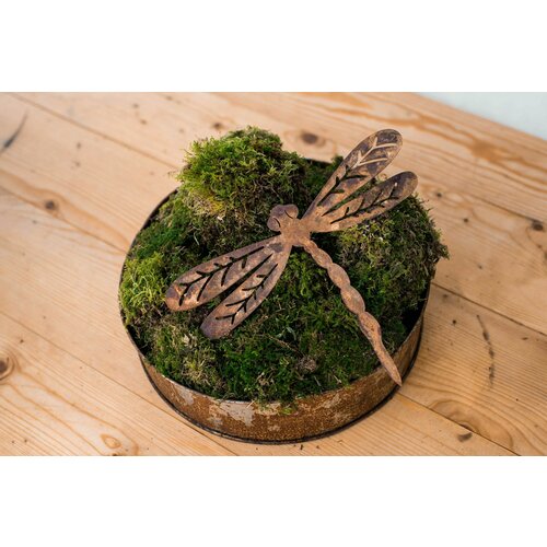 ���� ������� ������� ��� ���� � ������� �������� ������ ������