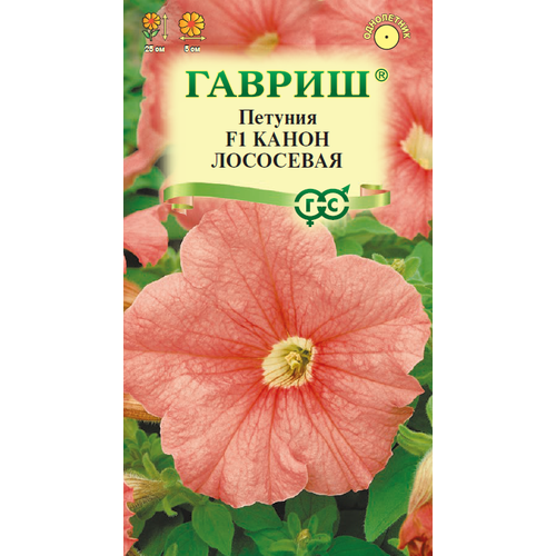 ���� ������ ������� ����� ��������� �������������� 7�� ��� 25�� (������) ������ ������