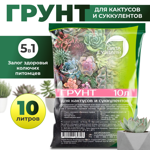 ���� ����� (�����) ���� ������� ��� �������� � �����������/ ������� �������� ��������, 10� ������ ������