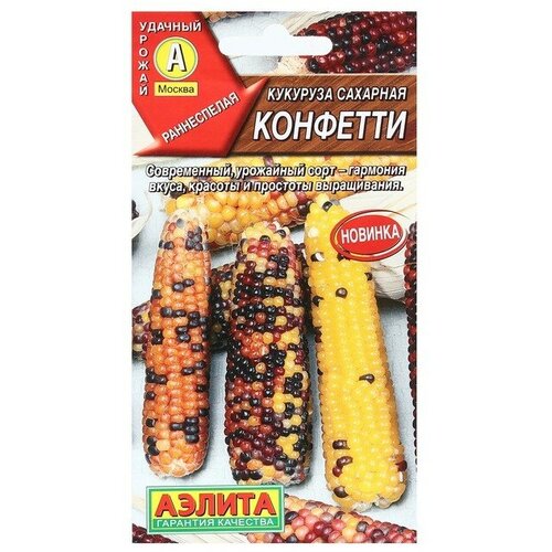 ���� ������ �������� �������� 