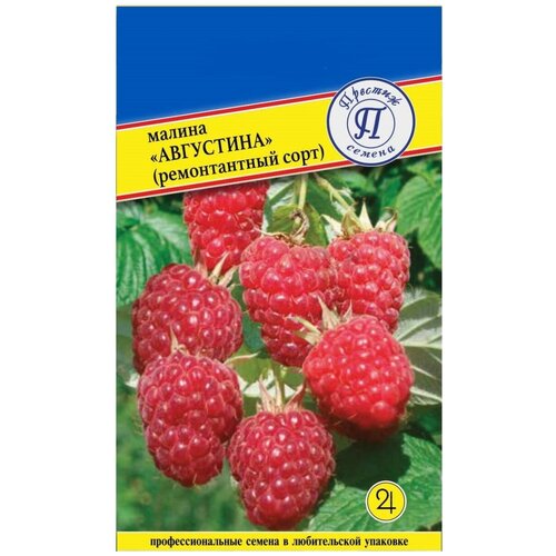 ���� ������ ��������� (������������ ����). ������. ������ ����� �� 200 ��. ��� ����� ����� �� 5-6 ��. ������ ������