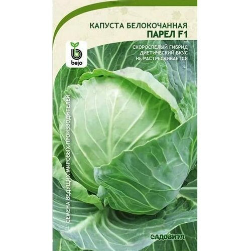 ���� ������. ������� ������������ 