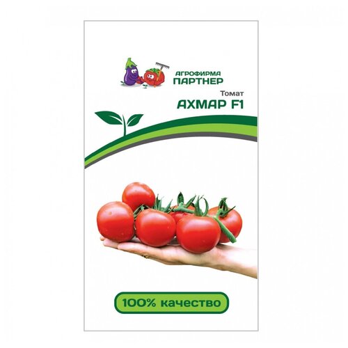 ���� ������ ������ 