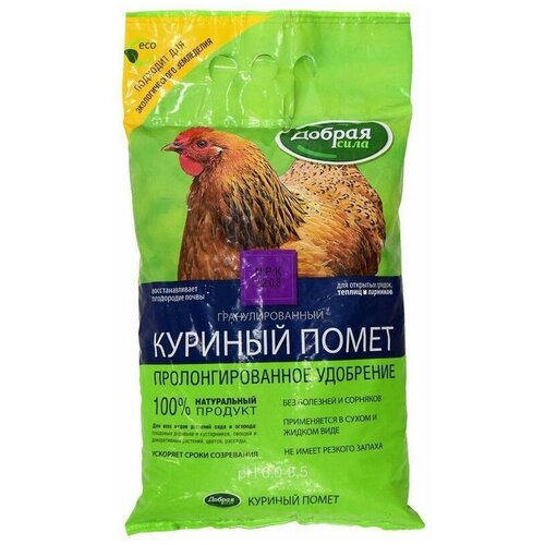 ���� ��������� 