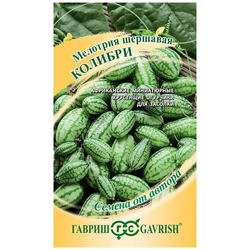 ���� ������ ������ ������ �� ������ �������� ����-����� ������� 20 ��. ������ ������