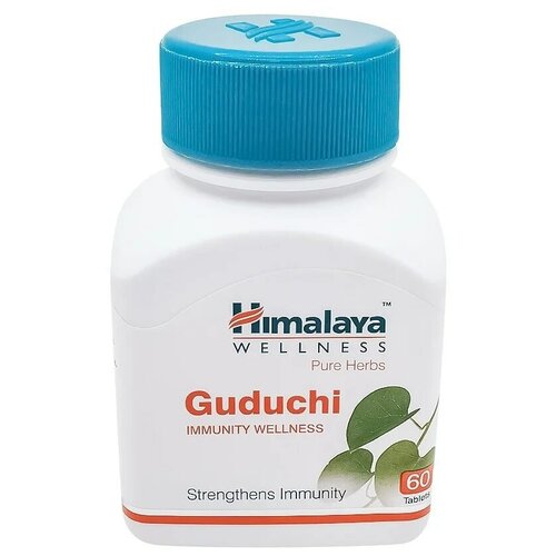 ���� Guduchi, 60 �, 60 ��. ������ ������