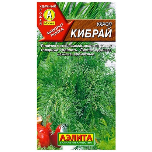 ���� ������ ����� ������ 3 ��. ������ ������