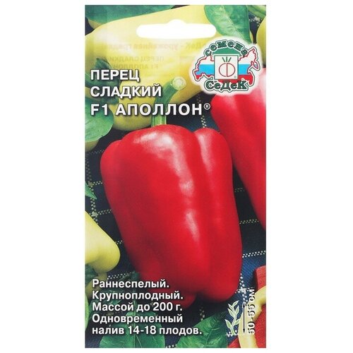 ���� ������ ����� ������� 