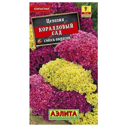 ���� ������. ������� ����������� 