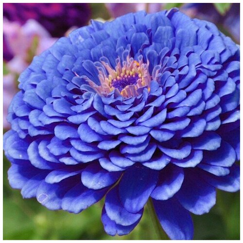 ���� ������ ������ ����� ��������� �������� ����� 30 ��. ������ ������