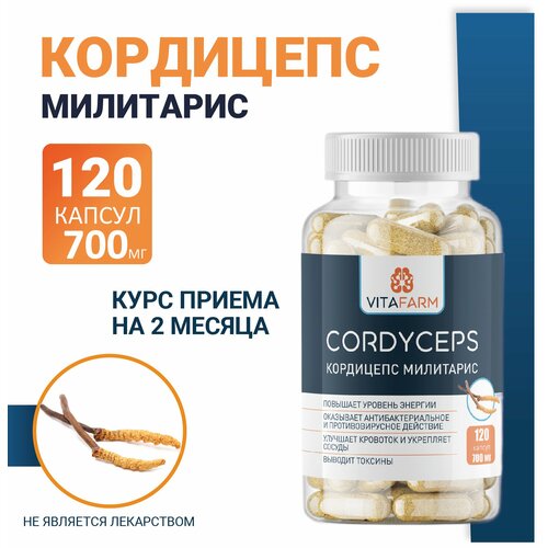    (Cordyceps militaris)  120 / 700   