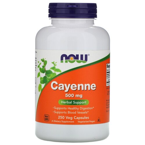   NOW Cayenne, 240 , 500 , 250 .   -     , -, 