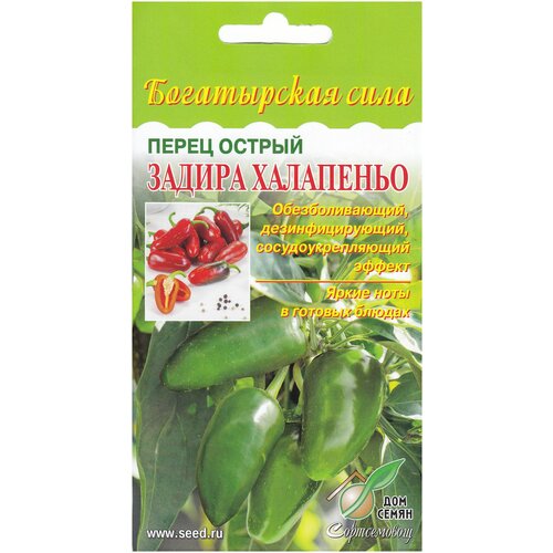 ���� ����� ������ ������ ���������, 15 ����� ������ ������