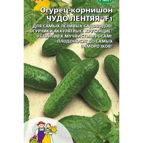 ���� ������ ������ ���� ������ - �������� F1 (��) �/� ������ ������