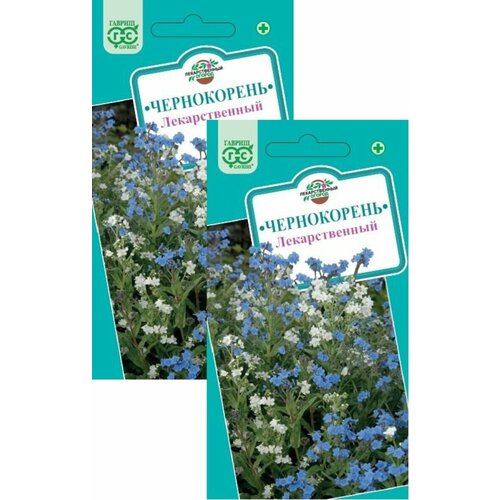 ���� ����������� ������������� (5 �����), 2 ������ ������ ������