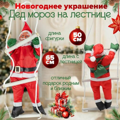 ���� ��� ����� �� �������� 50 ��, 1 ��� �����, ����� ��������� � ��������� 65 �� ������ ������