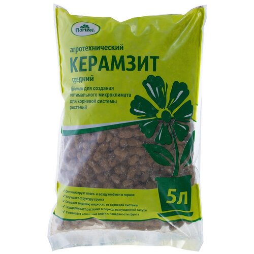 ���� �������� Florizel 5 � ������ ������