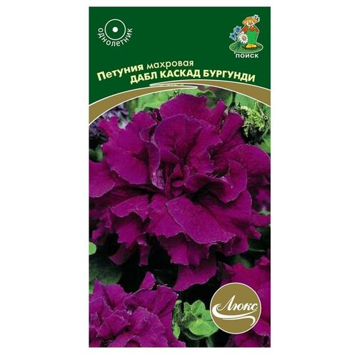 ���� ������ ����� ���� ������� �������� ���� ������ �������� 10 ��. ������ ������