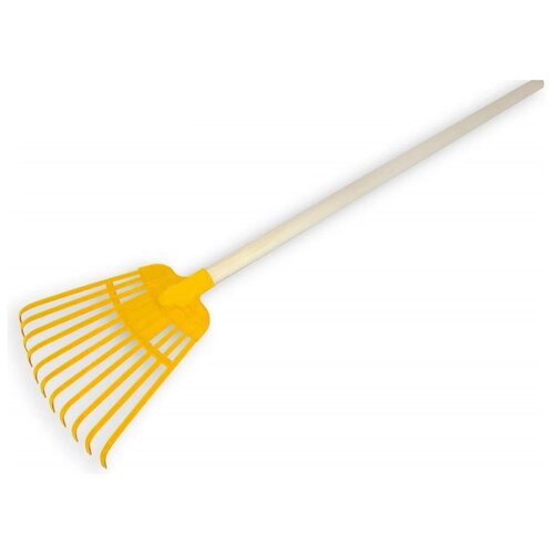 ���� ������ �������, �������, �����������, ���������� �������, ���� ������, ����� - 79��. ������ ������