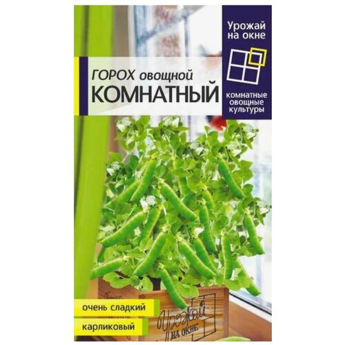 ���� ������ ����� ������� ��������� (10�) ������ ������