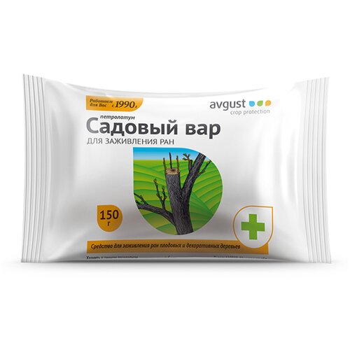 ���� Avgust �������� ��� ���������� ��� �������� � ������������ �������� ������� ���, 150 � ������ ������