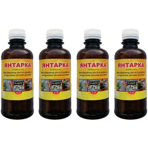 ���� ��������� �������� ������� 