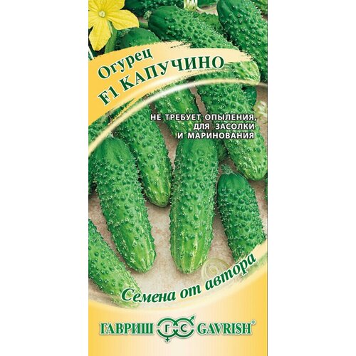 ���� ������ ������ �������� F1, 10��, ������, ������ �� ������ ������ ������