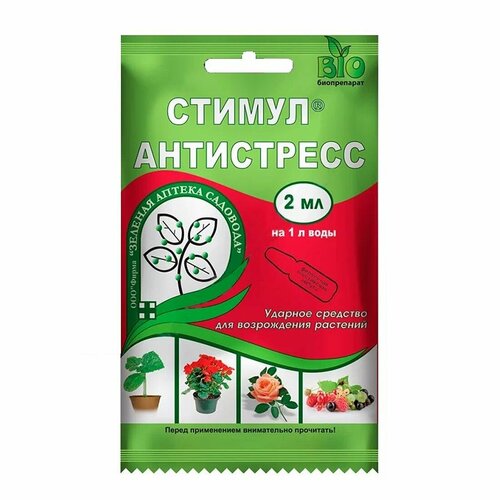 ���� ������ 2�� (������� ������ ��������) ������ ������