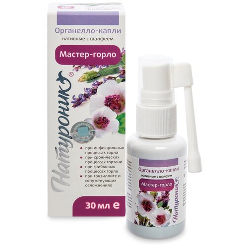 ���� ��������� ����� �������-�����, 30 �� ������ ������