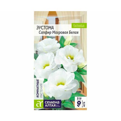 ���� ������ ������� ������ F1 ����� �������� 5�� ���� 25�� (������ �����) ������ ������