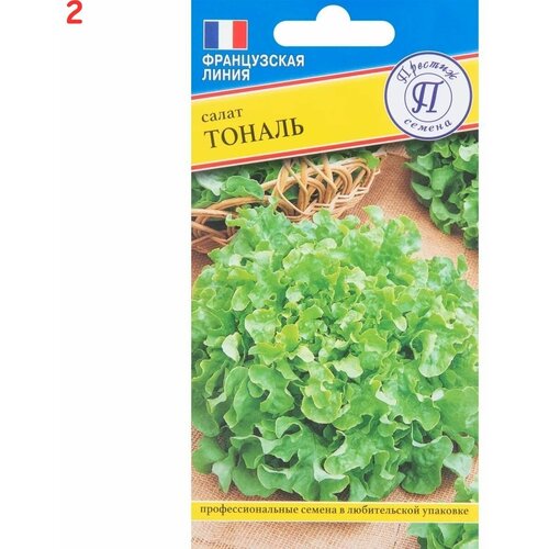 ���� ����� ������ 10 ��. (2 ��.) ������ ������